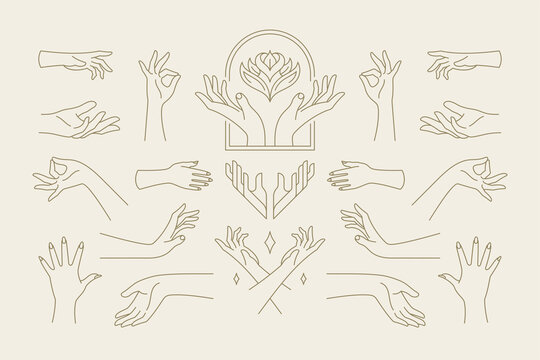 Female hands gestures collection of line art hand drawn style vector illustrations.