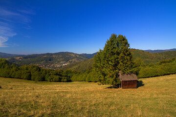 landscape with abandoned house