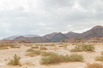 Fototapeta na wymiar Desert, red mountains, rocks and cloudy sky. Egypt, the Sinai Peninsula.