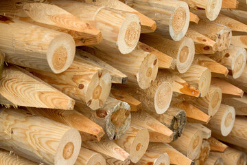 pile of wood