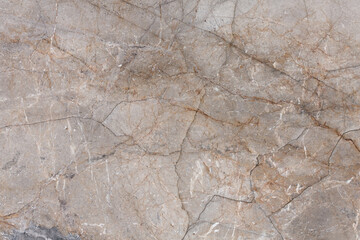 Essential grey - natural marble stone texture, photo of slab.