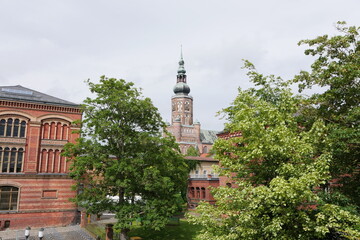 Turm Dom in Greifswald an der Ostsee in Mecklenburg-Vorpommern