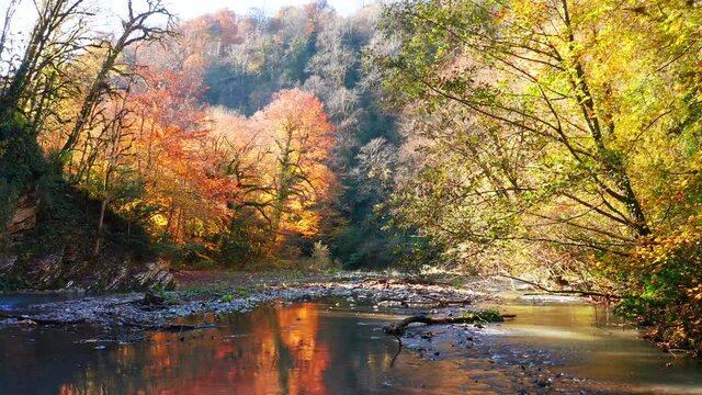 Khosta river at autumn. Flight over the river of Khosta in Caucasus Mountains during autumn sunny day. Yew and Boxwood Grove in Russia