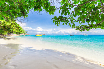 Beautiful beach and blue sky in Similan islands.
