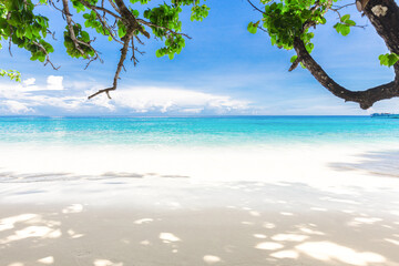 Beautiful beach and blue sky in Similan islands.