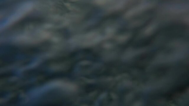 Winter swim. Young man jumps into winter lake at sunny day with forest on the background. Multi camera scene. Camera 3, POV