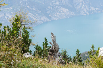 Dolomity jezioro Garda  - obrazy, fototapety, plakaty