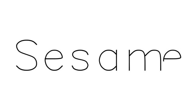 Sesame Handwritten Text Animation in Various Sans-Serif Fonts and Weights