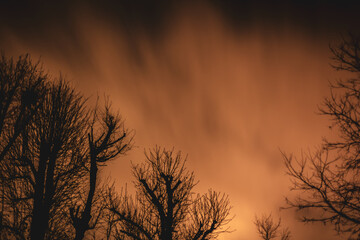 Clouds moving quickly over a dramatic night sky behind trees