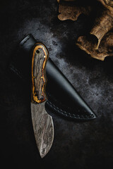 knife on sheath dark background with driftwood