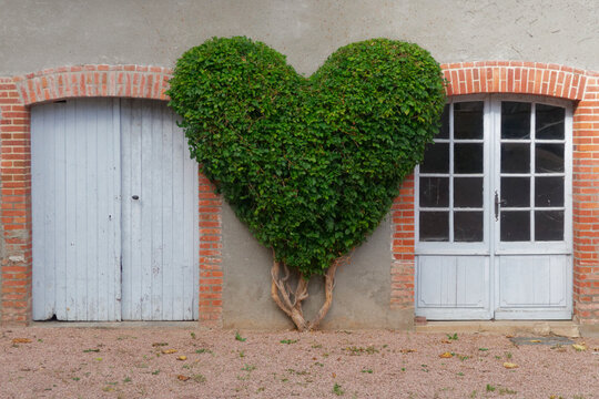 haie coeur