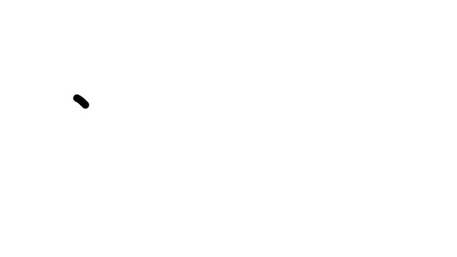 Shalom Handwritten Text Animation in Various Sans-Serif Fonts and Weights