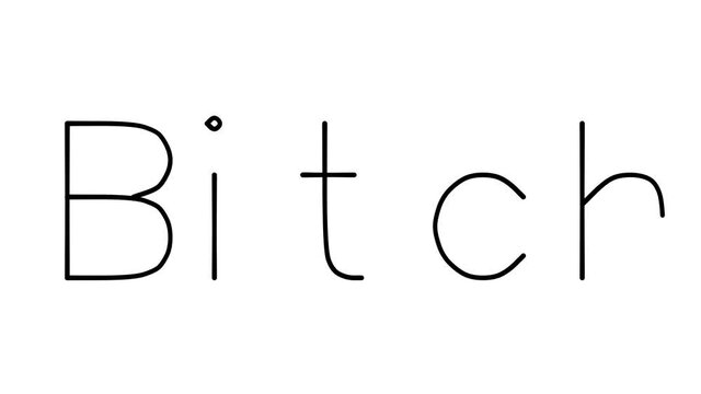 Bitch Handwritten Text Animation in Various Sans-Serif Fonts and Weights
