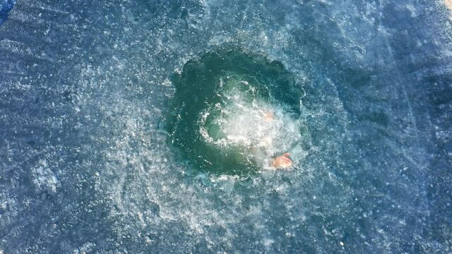 Winter swim. Young man jumps into winter lake at sunny day with forest on the background. Multi camera scene. Camera 2. Aerial, top down view