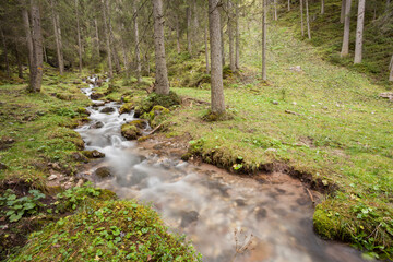 A mountain stream flows in the misty forest