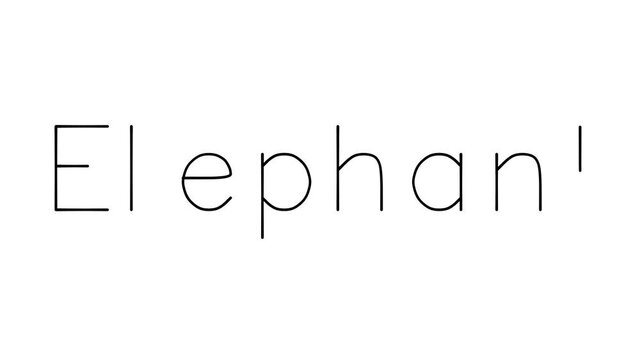 Elephant Handwritten Text Animation in Various Sans-Serif Fonts and Weights