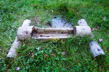 Wooden feeder for wildlife in the shape of a trough