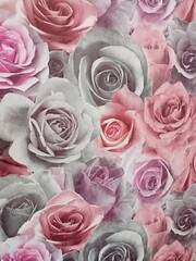 pink and white roses