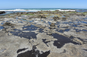 New Zealand- Panorama of the Petrified Forest Plateau