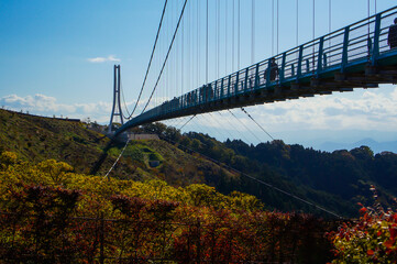 三島の大吊り橋