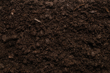 Black land for plant background.