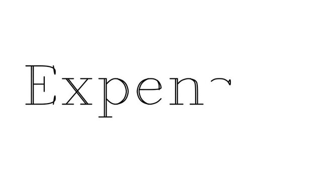 Expenses Animated Handwriting Text in Serif Fonts and Weights