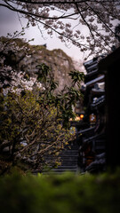 kyoto