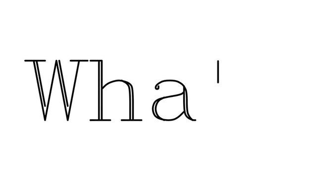 Whale Animated Handwriting Text in Serif Fonts and Weights