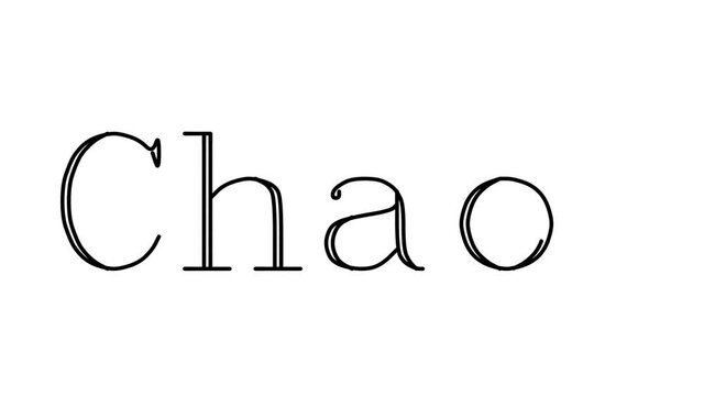Chaos Animated Handwriting Text in Serif Fonts and Weights