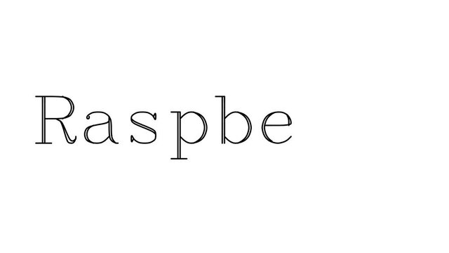 Raspberry Animated Handwriting Text in Serif Fonts and Weights
