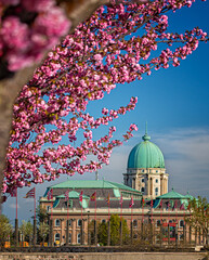 Fototapety na wymiar - Fototapeta24.pl