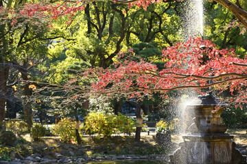 autumn in the garden