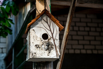 birdhouse made of birch bark