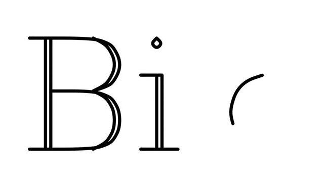 Bio Animated Handwriting Text in Serif Fonts and Weights