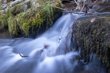 Stream in the forest