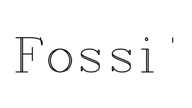 Fossil Animated Handwriting Text in Serif Fonts and Weights