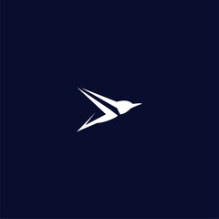Fototapeta na wymiar vector of flying bird creations on dark background suitable for logo.
