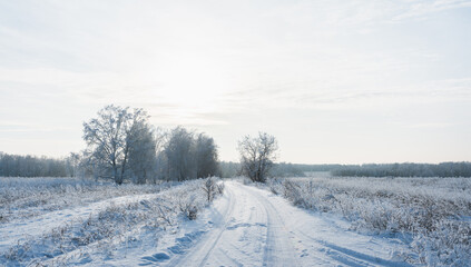 Fototapeta na wymiar Snow covered winter field with trees and road going through to the horizon. Winter landscape. Beautiful winter nature.