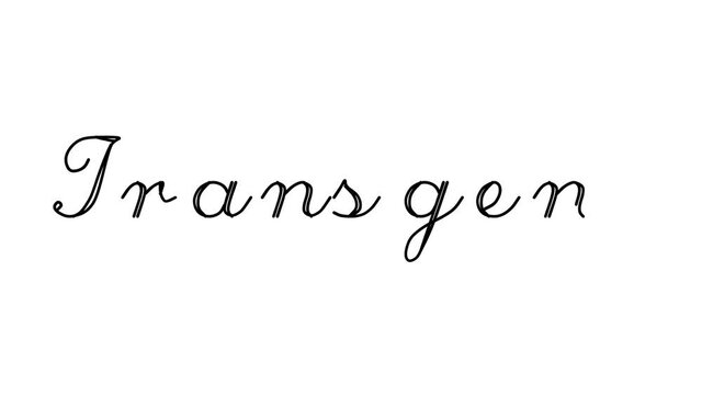Transgene Decorative Handwriting Animation in Six Cursive and Gothic Fonts