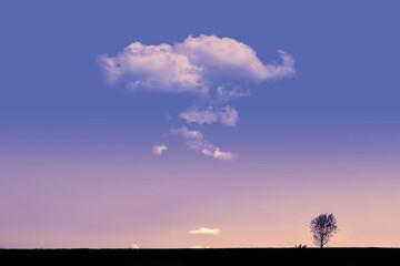 Obraz premium Tree silhouette againt a red and orange cloudy sunset. Dark nature background and empty copy space for Editor's text. 