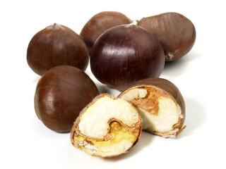 Fresh unpeeled Chestnuts  isolated on white Background