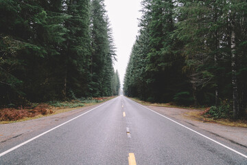 Empty asphalt road through forest