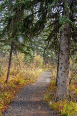 Snowing Policeman Creek Riverside Trail, Spring Creek Boardwalk in Late fall to early winter season. Town of Canmore, Alberta, Canada.