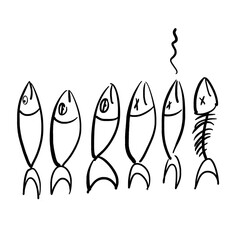 Live fish and dead fish