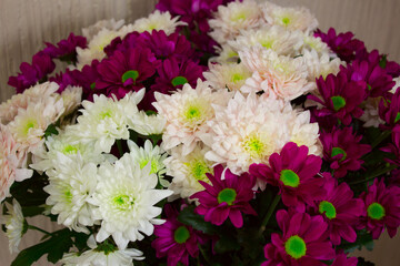 beautiful bouquet of fresh flowers