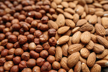 dried nuts, almonds and hazelnuts