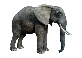 3D Rendering African Elephant on White