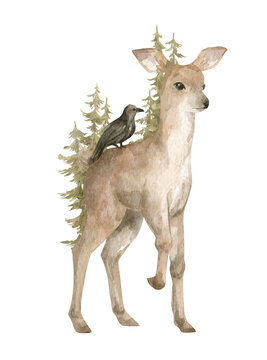 Watercolor illustration with deer and forest trees. Wild forest animal and woodland landscape. Creature, trees, pine, spruce, fir. Reindeer and wildlife nature 