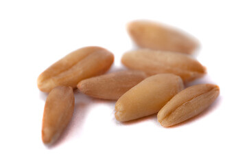 A pile of oat seeds isolated on white