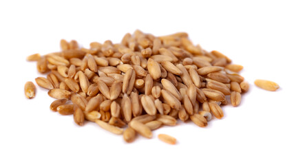 A pile of oat seeds isolated on white